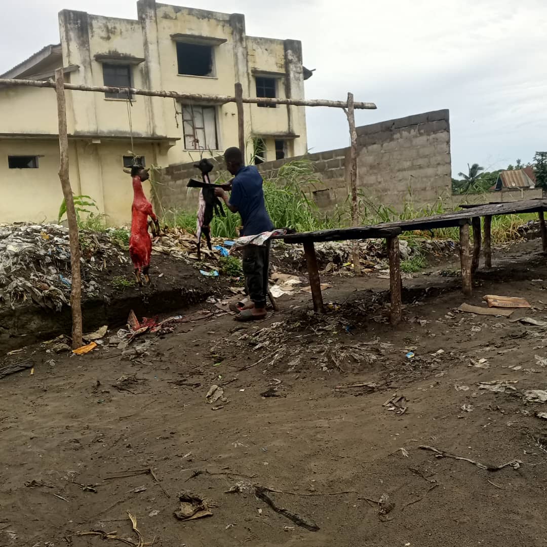 WhatsApp Image 2026-10-26 at 18.32.24